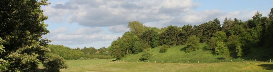 Internetbaseret psykologhjlp.