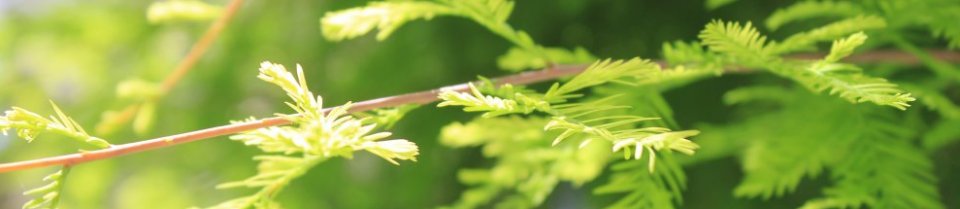 Kontakt Psykolog Heidi Kjgx