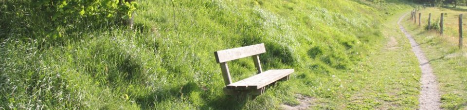 Har du angst eller depression?